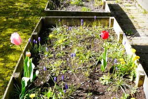 2026 Paaseieren zoeken