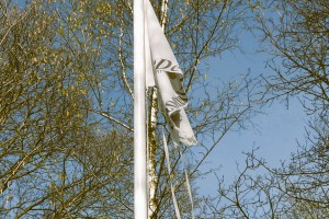 2026 Paaseieren zoeken